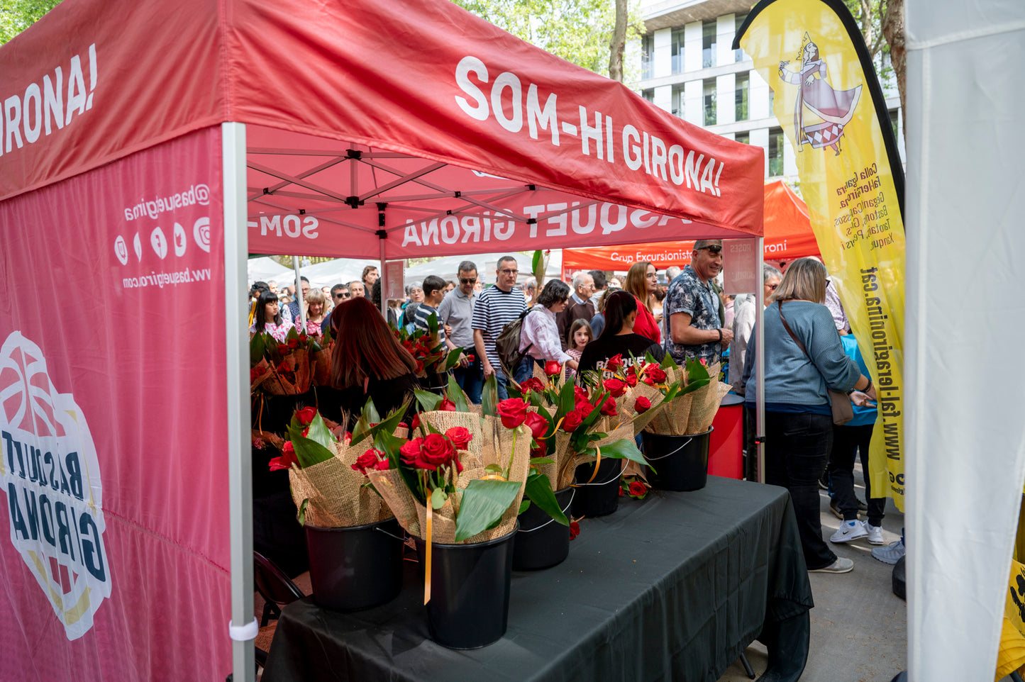 Rosa Sant Jordi (Abonat)