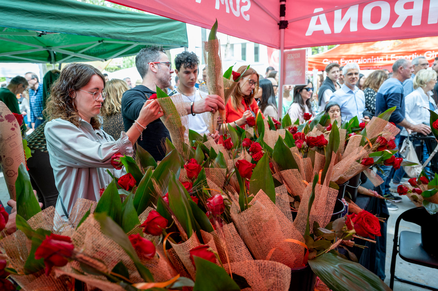 Rosa Sant Jordi (Abonat)