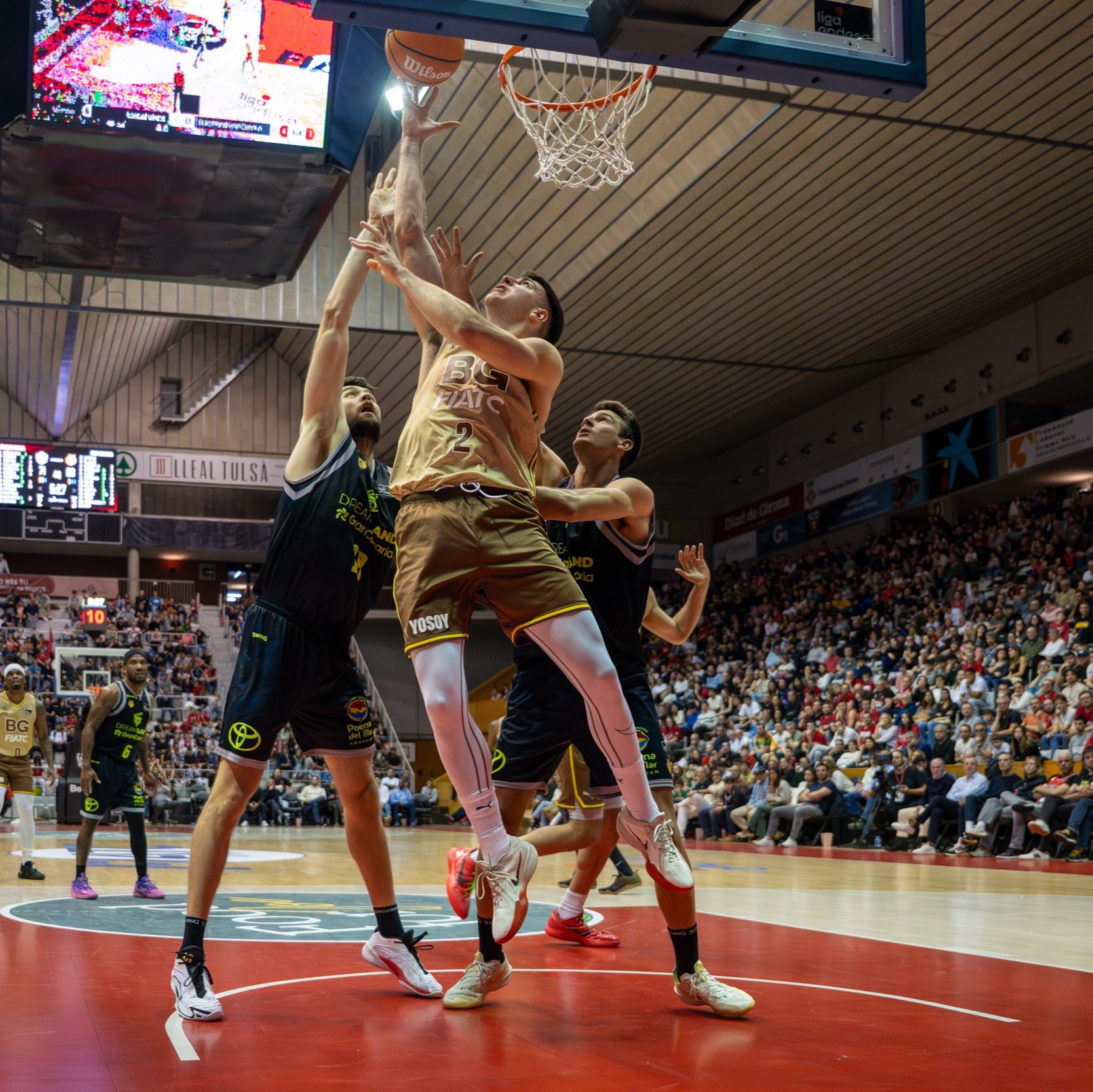 Samarreta Firmada: Maxi Fjellerup Temporada 2024-2025