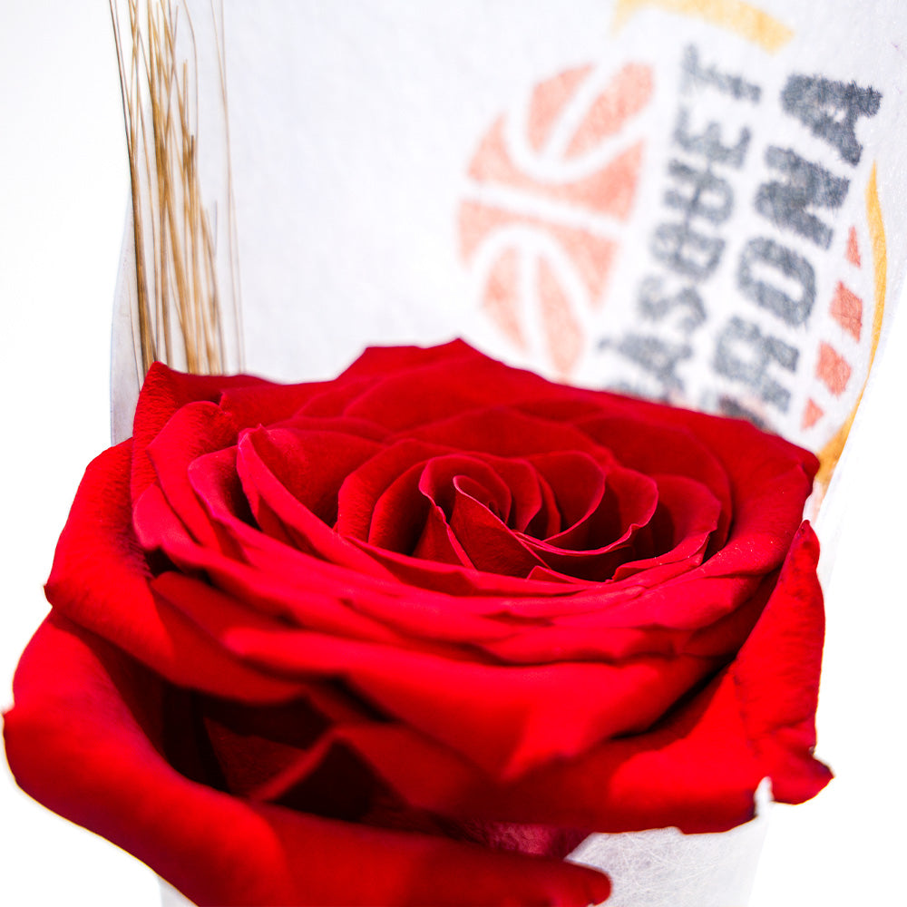 Rosa Sant Jordi Bàsquet Girona