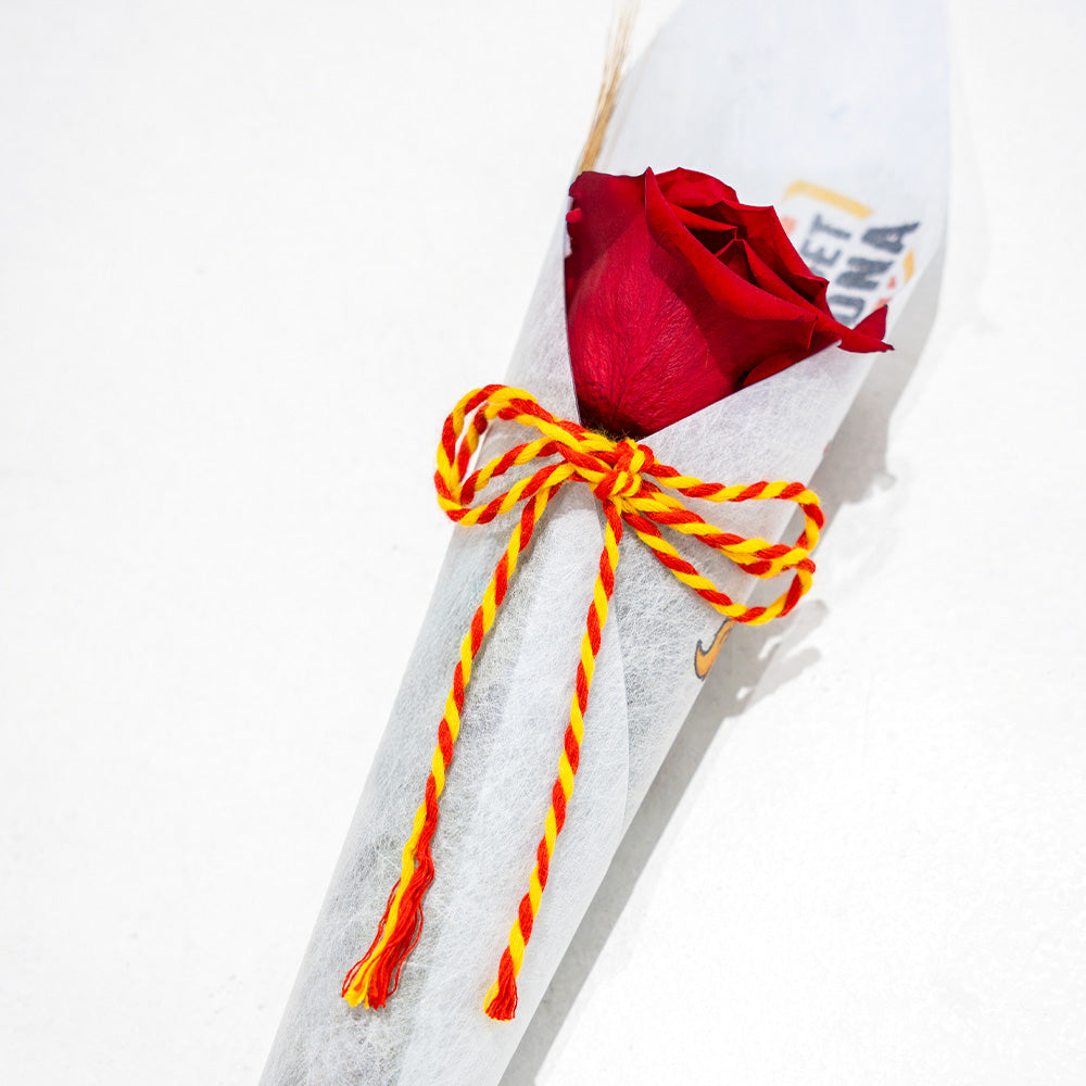 Rosa Sant Jordi Bàsquet Girona