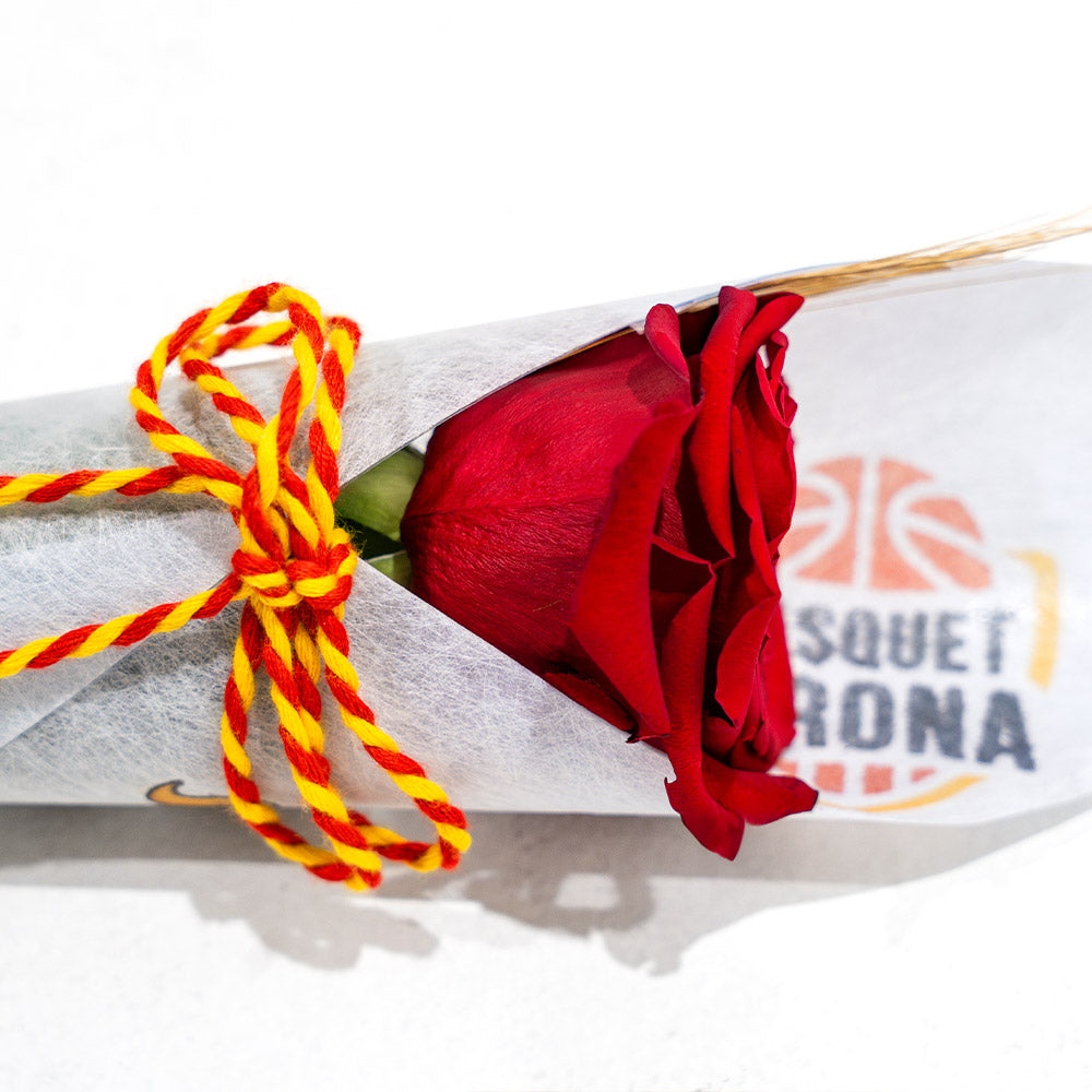 Rosa Sant Jordi Bàsquet Girona