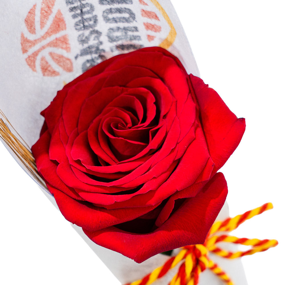 Rosa Sant Jordi Bàsquet Girona