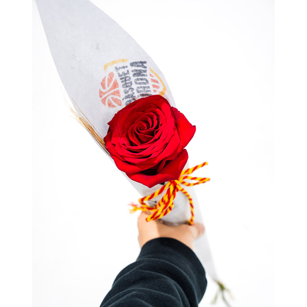 Rosa Sant Jordi Bàsquet Girona