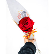 Rosa Sant Jordi Bàsquet Girona